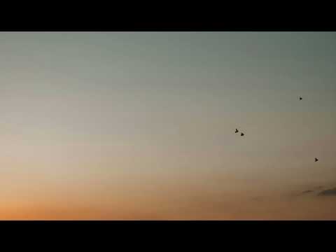 Sander W. & Sönnefelt - Hey Ya