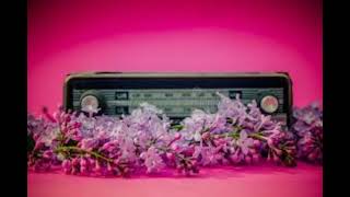 Charly McClain-Radio Heart(With Lyrics,1985)