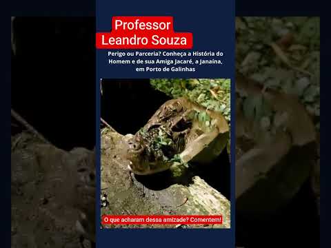 Homem Amigo de Jacaré Fêmea em Ipojuca Pernambuco