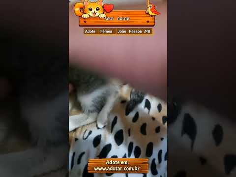Vídeo de sem nome
