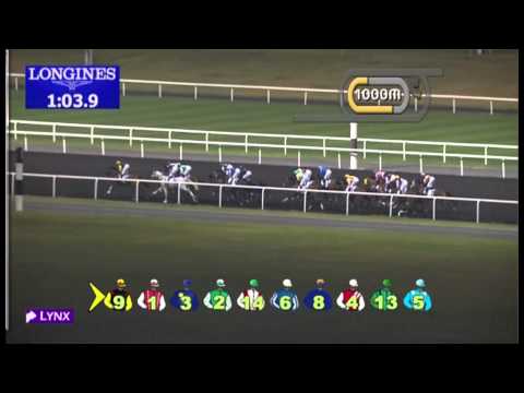 14.03.2013 Meydan (Dubai-UAE) 6.Race PROPERTY WEEKLY - 1.900 m