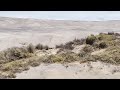 Оазис в пустыне Атакама - bravo-001