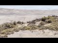 Une oasis dans le désert d'Atacama - bravo-001