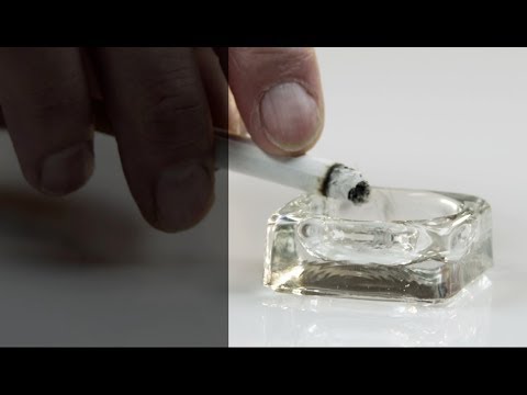 UNL | Bevins’ team studies nicotine addiction | Office of Research and Innovation