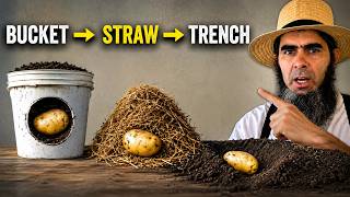 7 Ways To Grow Potatoes — Which Method Grew the Most? 🥔