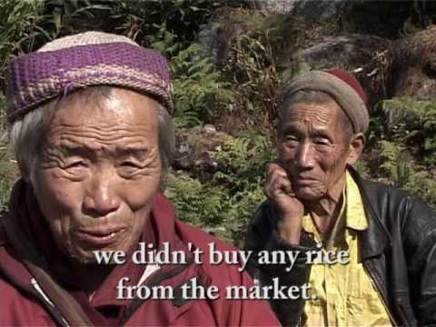 Tingvong: A Lepcha Village in Sikkim (2005) Tingvong: A Lepcha Village in Sikkim (2005)