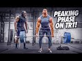 Teaching a giant how to deadlift!