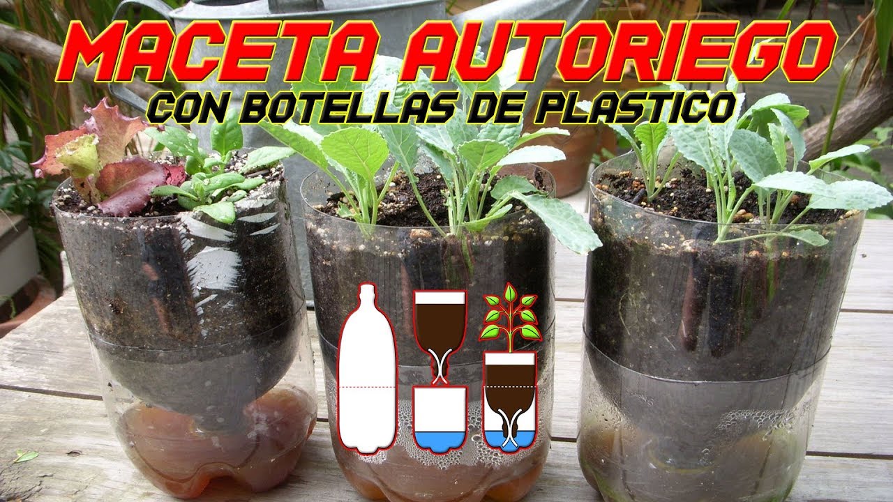 Maceta Autorriego | Riego Automático | Reciclar botella de Plástico (PET) | Cultivo Paso a Paso