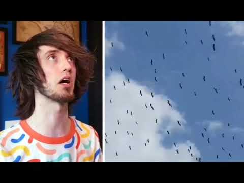Video thumbnail for I Can Fly