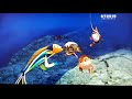 El Espantatiburones En Studio Universal 2