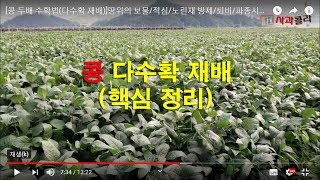 [콩 재배]다수확 콩재배/노린재 약제/순지르기/석회시용/파종간격/거세미나방/파종시기 /투광율/단일식물/남부.…