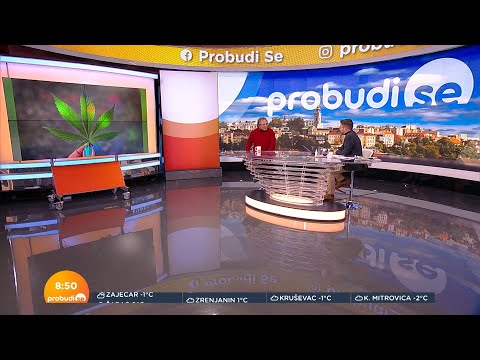 Predrag Marković: Marihuna ubija manje ljudi od rakije