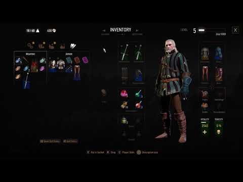 Let's Play The Witcher 3: Wild Hunt Blind Part 36