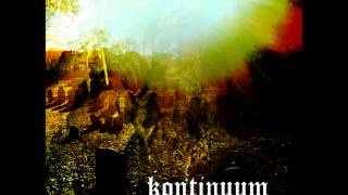Kontinuum - Steinrunninn Skógur
