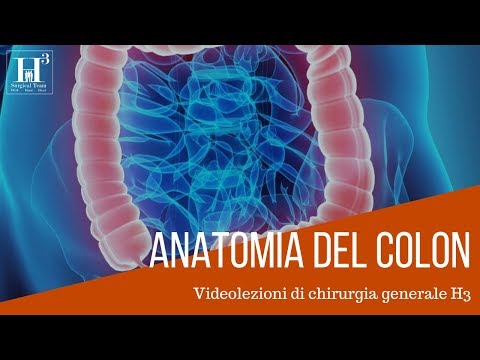 Anatomia e fisiologia dell'intestino crasso