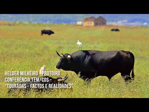 Helder Milheiro - As Touradas: Factos e Realidades