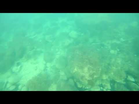 Ramla l-Hamra Swimming - 19th August 2023