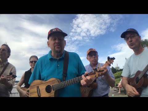 Big Bad World - Plain White T's (ukulele tutorial by MUJ)