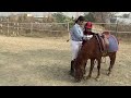 Anjali's Pony -A Hard Ride🐴