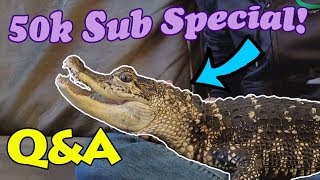 All About my Alligator! (50k Sub Special) by Snake Discovery