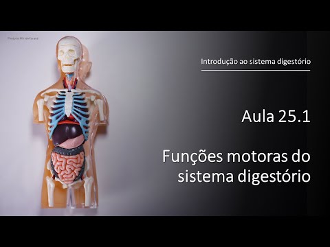 Videoaula 25.1 Funções motoras do sistema digestório