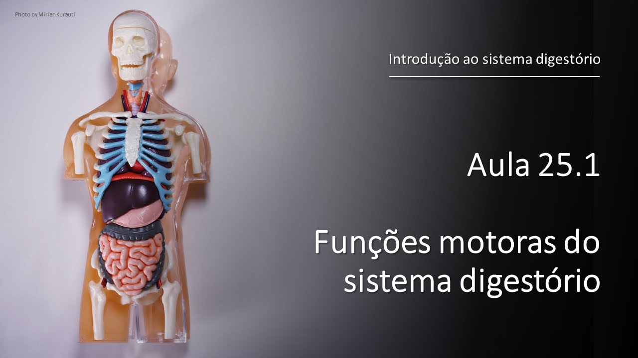 Videoaula 25.1 Funções motoras do sistema digestório