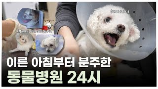 밤새 들어온 응급부터 아침 진료까지… 동물병원 24시간의 모든 순간! | 최고의수의사들