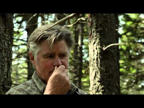 afbeelding Congressman, The