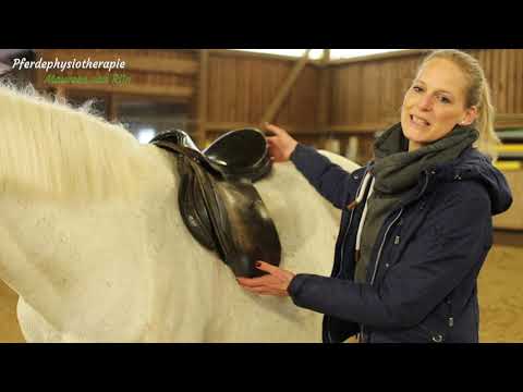 Pferdesattel richtig anpassen mit Anleitung by Pferdephysio Maureen van Rijn