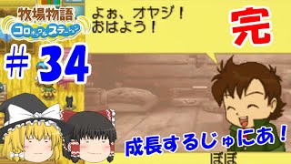 【ゆっくり実況】#34　コロステついに完結！【牧場物語 コロボックルステーション】