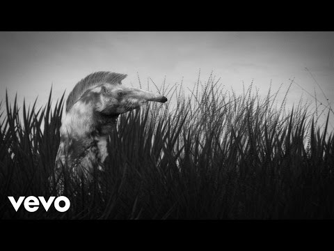 Of Monsters And Men - Numb Bears (Official Lyric Video)
