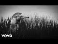 Of Monsters And Men - Numb Bears (Official Lyric ...