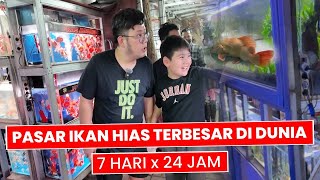 HUNTING KIOS 24 JAM PASAR IKAN HIAS JATINEGARA BANYAK IKAN PREDATOR MONSTER DAN JUMBO