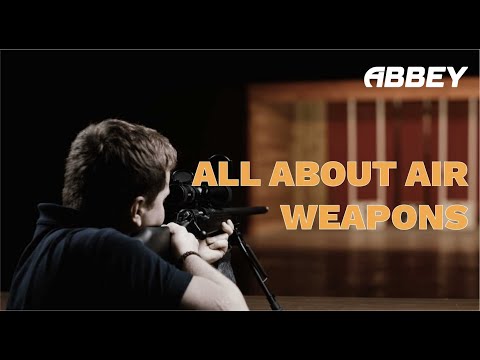 Everything you need to know about owning an air weapon in the UK