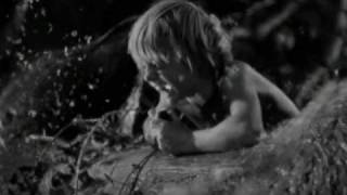 Florence &amp; The Machine - Rabbit Heart (Raise It Up) PMS