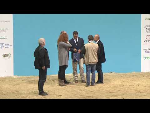 NVHZ 2019 pav P předvadiště masného skotu