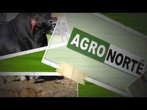 AGRONORTE Tv -  ARTIGAS TELEVISIÓN- RUBETA VENTA ANUAL 2018-