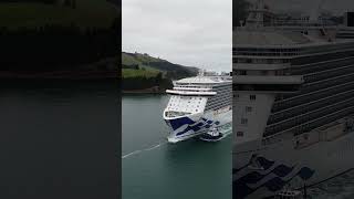 #cruise #cruiseship  #cruiselife