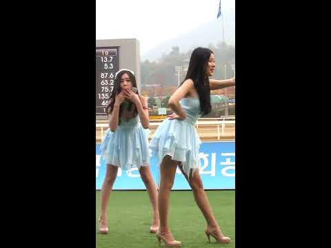 131103 직캠 비피팝 경마공원