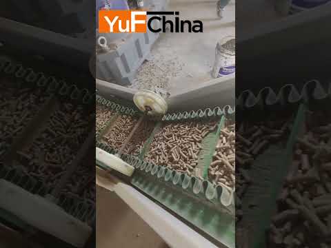 3 ton/hr china wood pellet production line