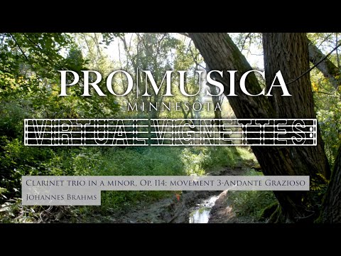 Virtual Vignette #6: Brahms Clarinet Trio, Movement 3