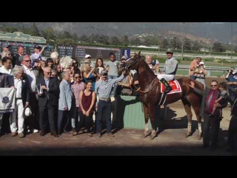 California Chrome Tops 2016 Breeders' Cup Classic Field