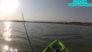 Crazy fish vibro worm 3