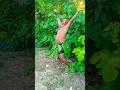 Chahe Koi Mujhe Jungali Kahe Short Video