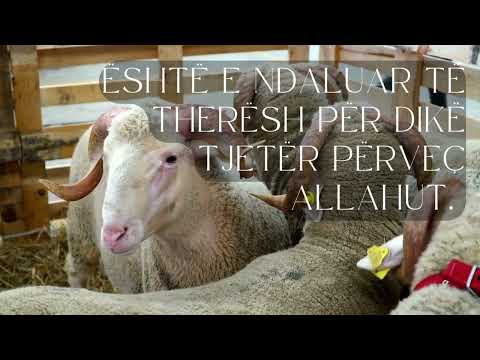 Ndalesat në Islam #4 Është e ndaluar të therësh për dikë tjetër përveç Allahut