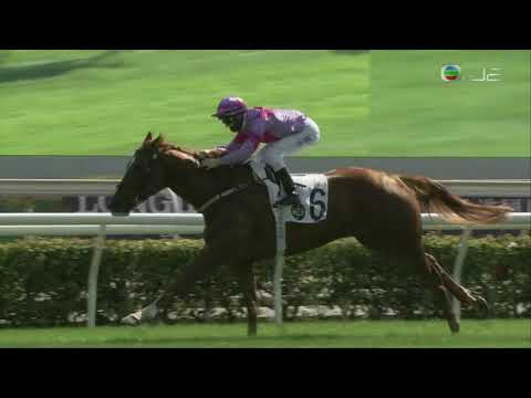 2021/22 (244) - Good Runner (跑得好) - 潘頓