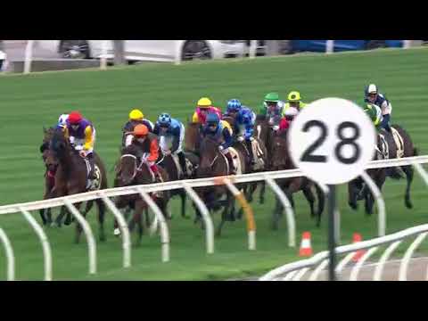 2025 VRC  FLEMINGTON Let's Elope Stakes