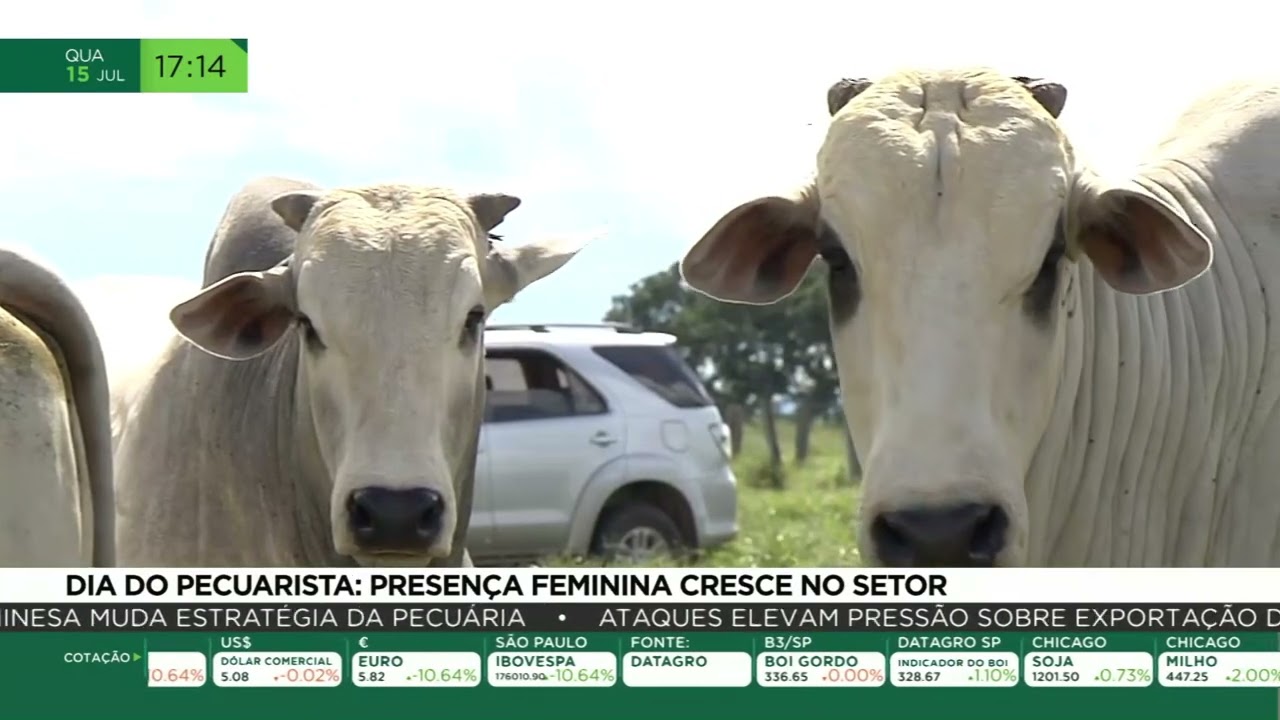 Dia do pecuarista: presença feminina cresce no setor