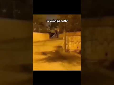 ١٦ أكتوبر ٢٠٢٣