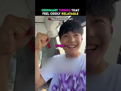 Ordinary Things That Feel Oddly Relatable 🤔